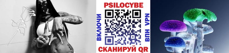 Галлюциногенные грибы мицелий  Новокузнецк 