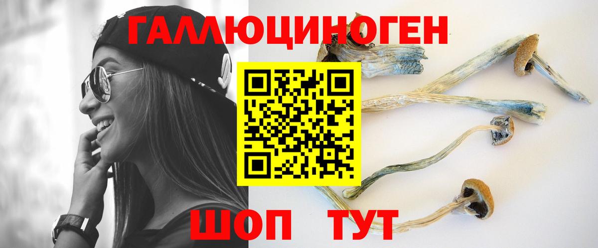 Галлюциногенные грибы Magic Shrooms Новокузнецк